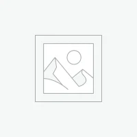 Other / Misc Parts